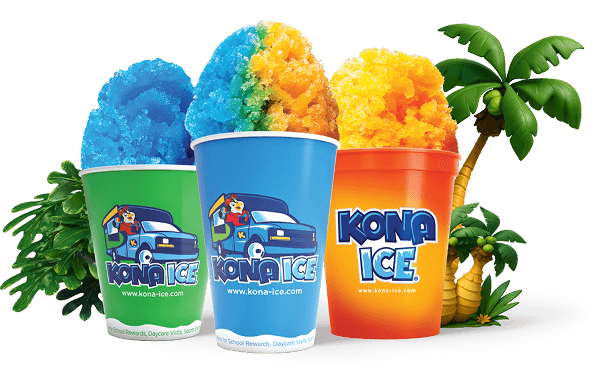 Kona Ice form banner